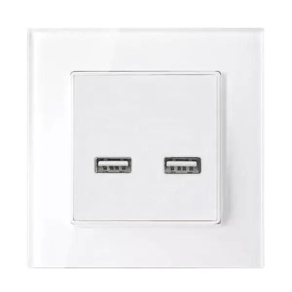 DOUBLE USB SOCKET GLASS FRAME WHITE Újdonság