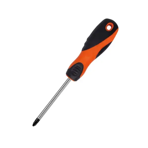 SKRUTKOVAČ PZ1x100mm Expressz szállítás