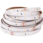 LED-szalag, 12W/m, 24V, védelemmel IP54 Outlet