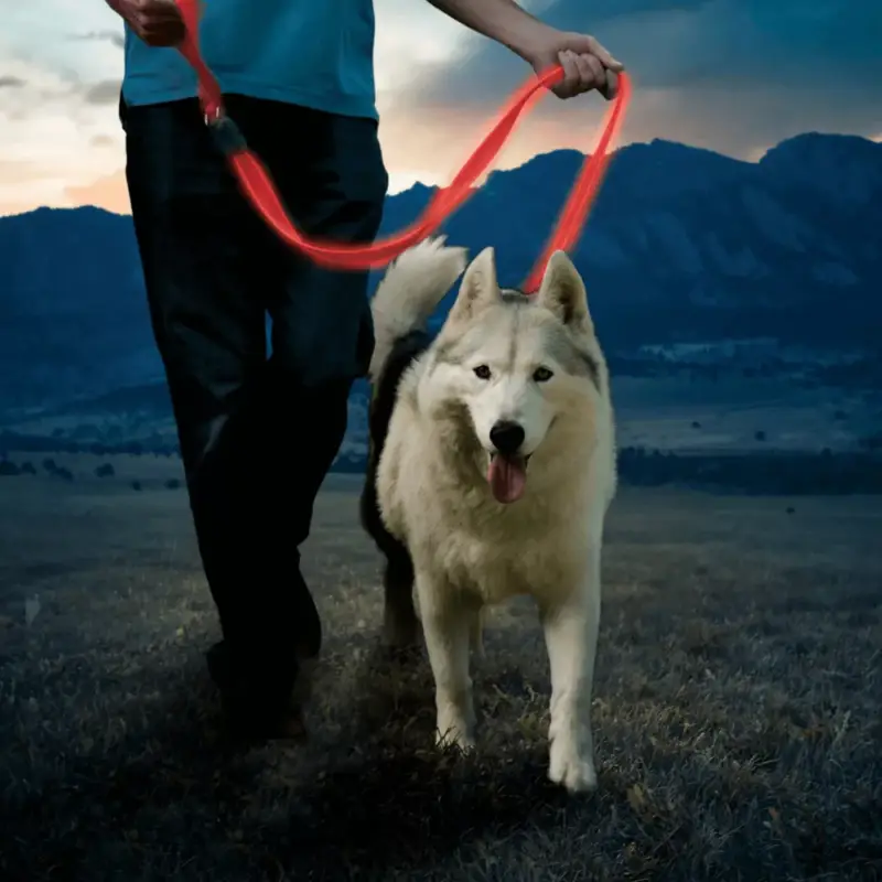 Nitedog® tölthető -póráz - piros/piros LED Legnépszerűbb